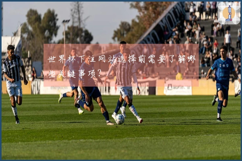世界杯下注网站选择前需要了解哪些关键事项？
