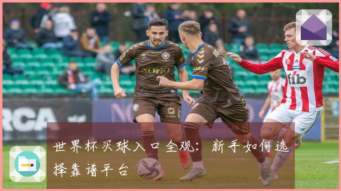 世界杯买球入口全观：新手如何选择靠谱平台