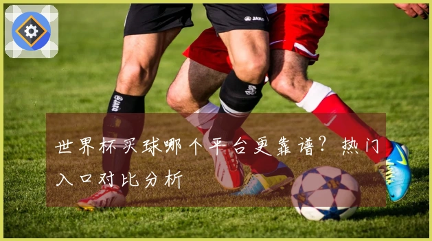 世界杯买球哪个平台更靠谱？热门入口对比分析