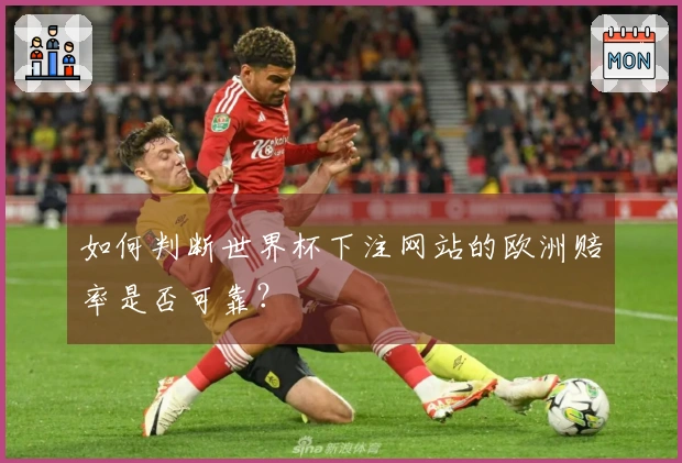 如何判断世界杯下注网站的欧洲赔率是否可靠？