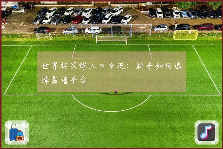 世界杯买球入口全观：新手如何选择靠谱平台
